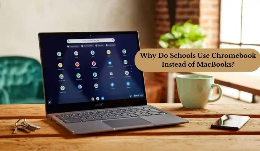 Why Do Schools Use Chromebook Instead of MacBooks?